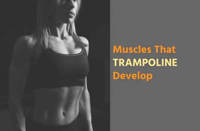 What Muscles Does Trampolining Work?