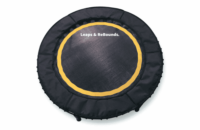 Leaps & ReBounds Bungee Rebounder Review