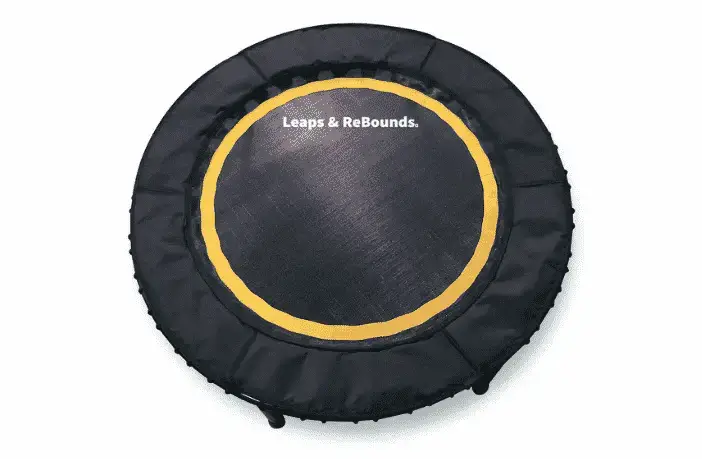 Leaps & rebounds online bungee rebounder